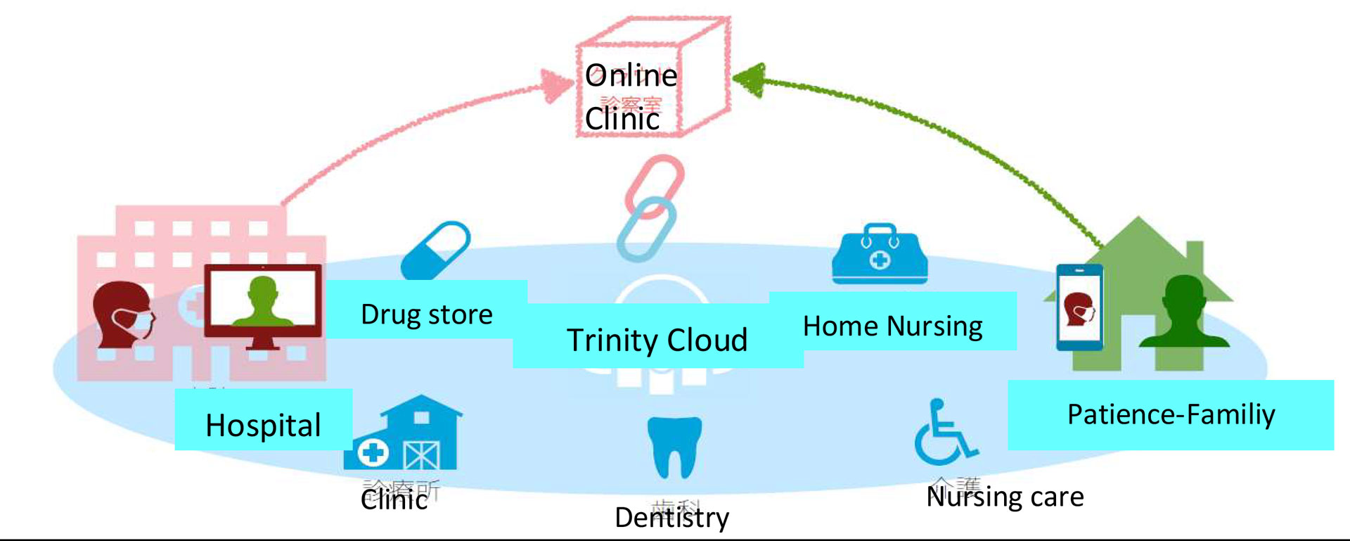 Trinity Care Cloud 　Multidisciplinary collaboration model/Telecare system